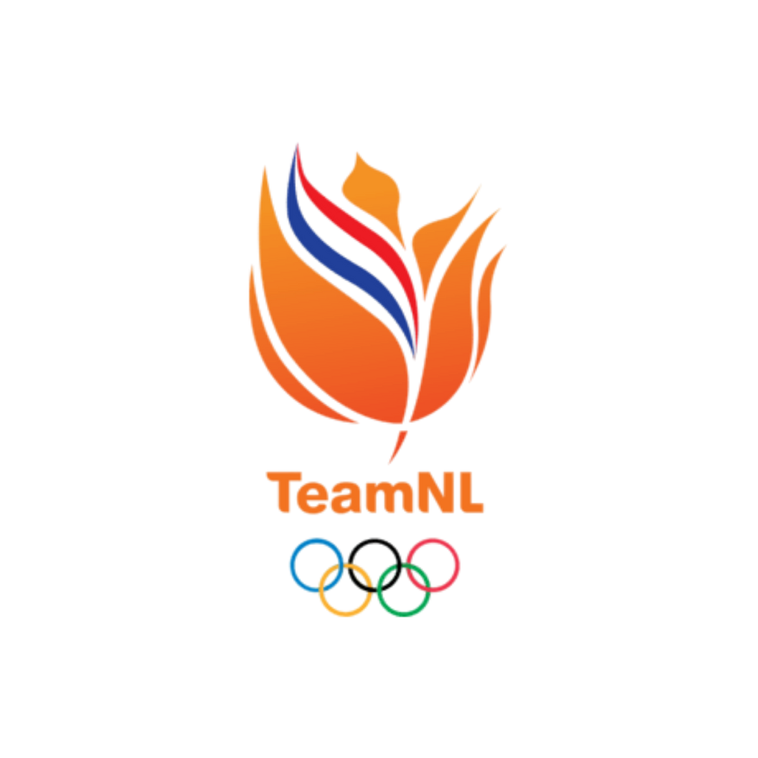 TeamNL logo