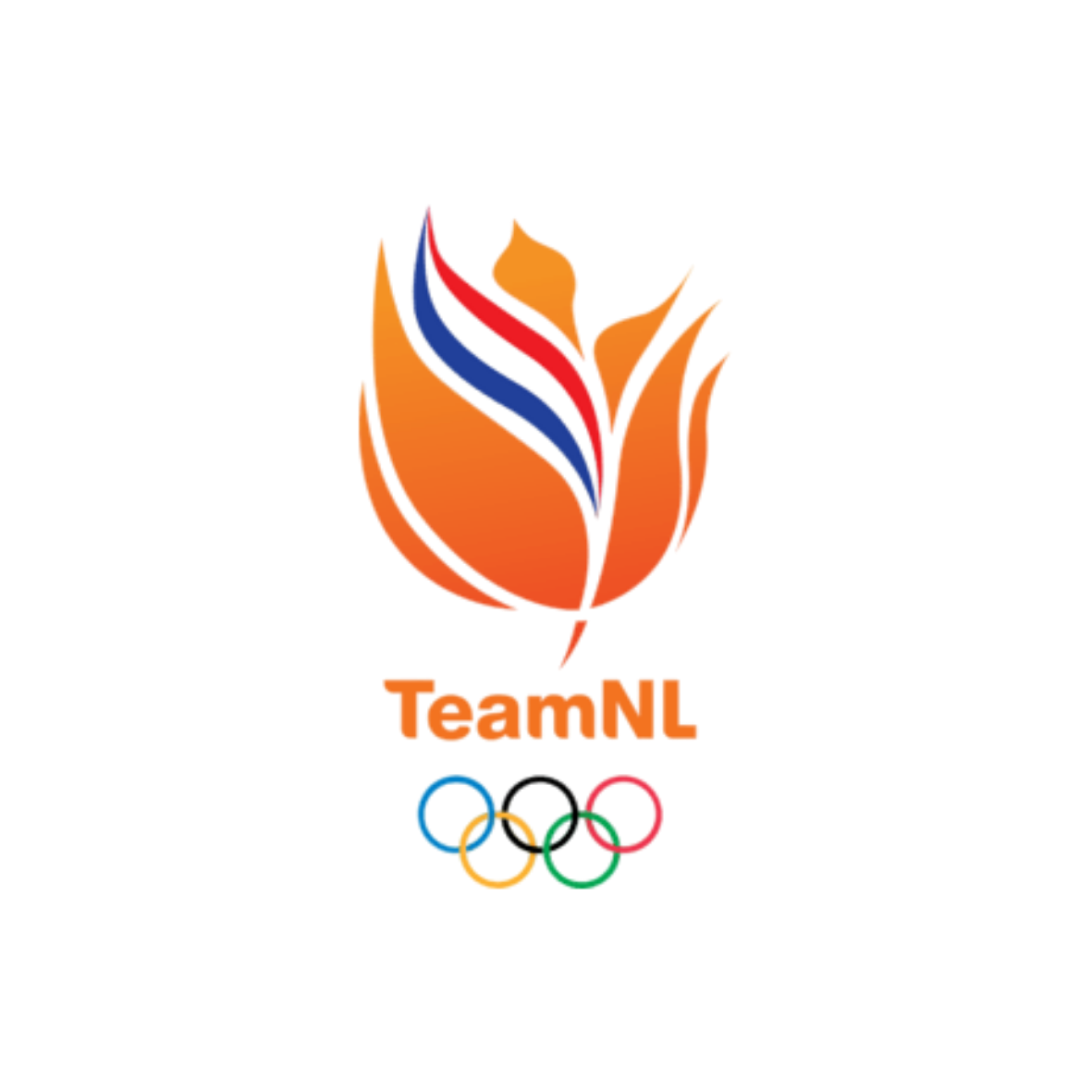 TeamNL logo
